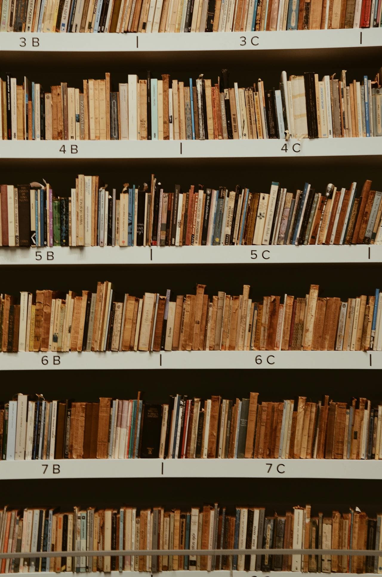 Books filed on library shelves